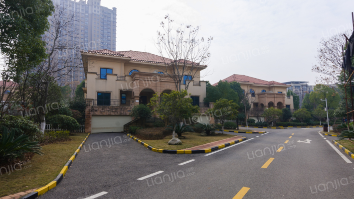 知音半岛外景图