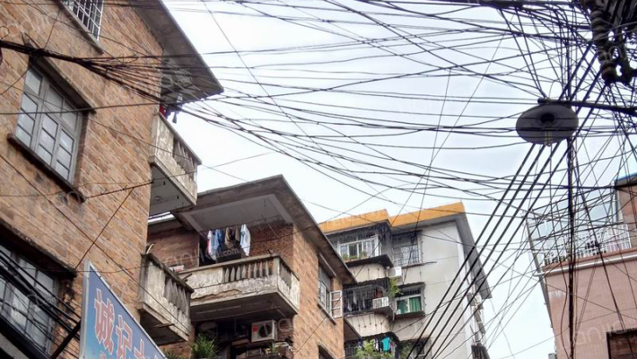 西坑一巷十二号大院外景图