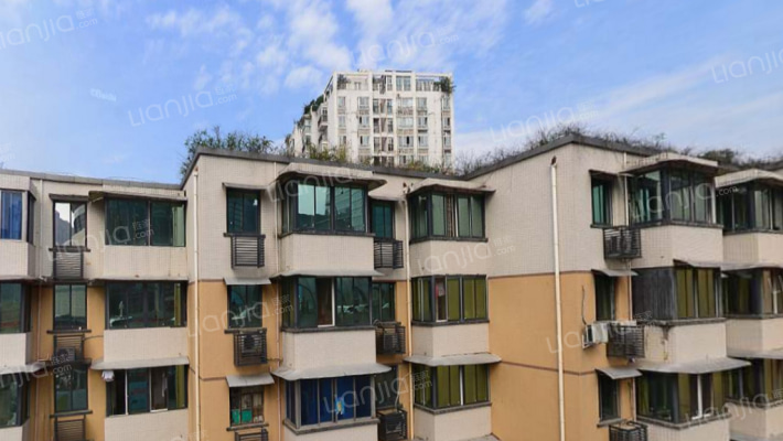 双林南支路20号外景图