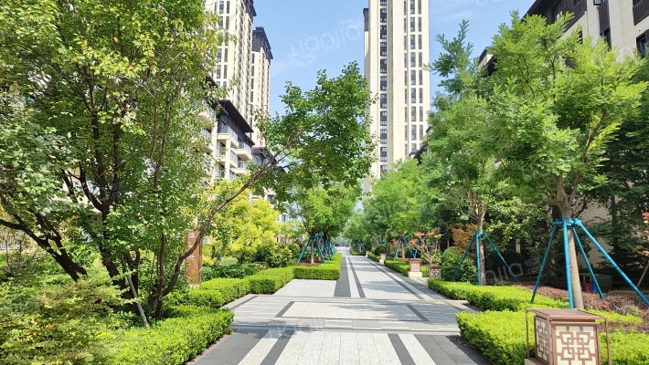 金地湾和府外景图