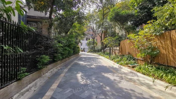 泰禾红树林F区外景图