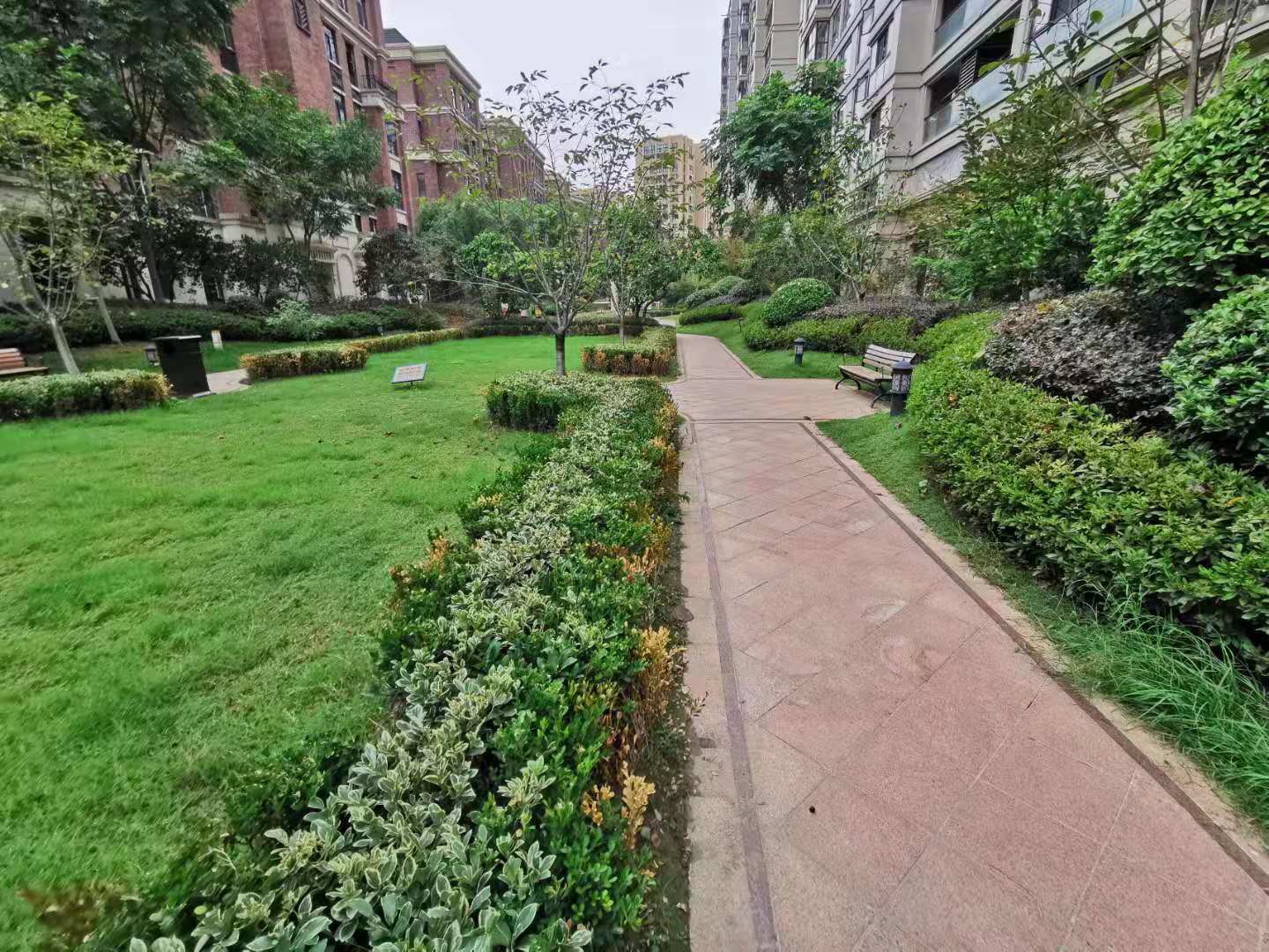 之江诚品小区实景 7
