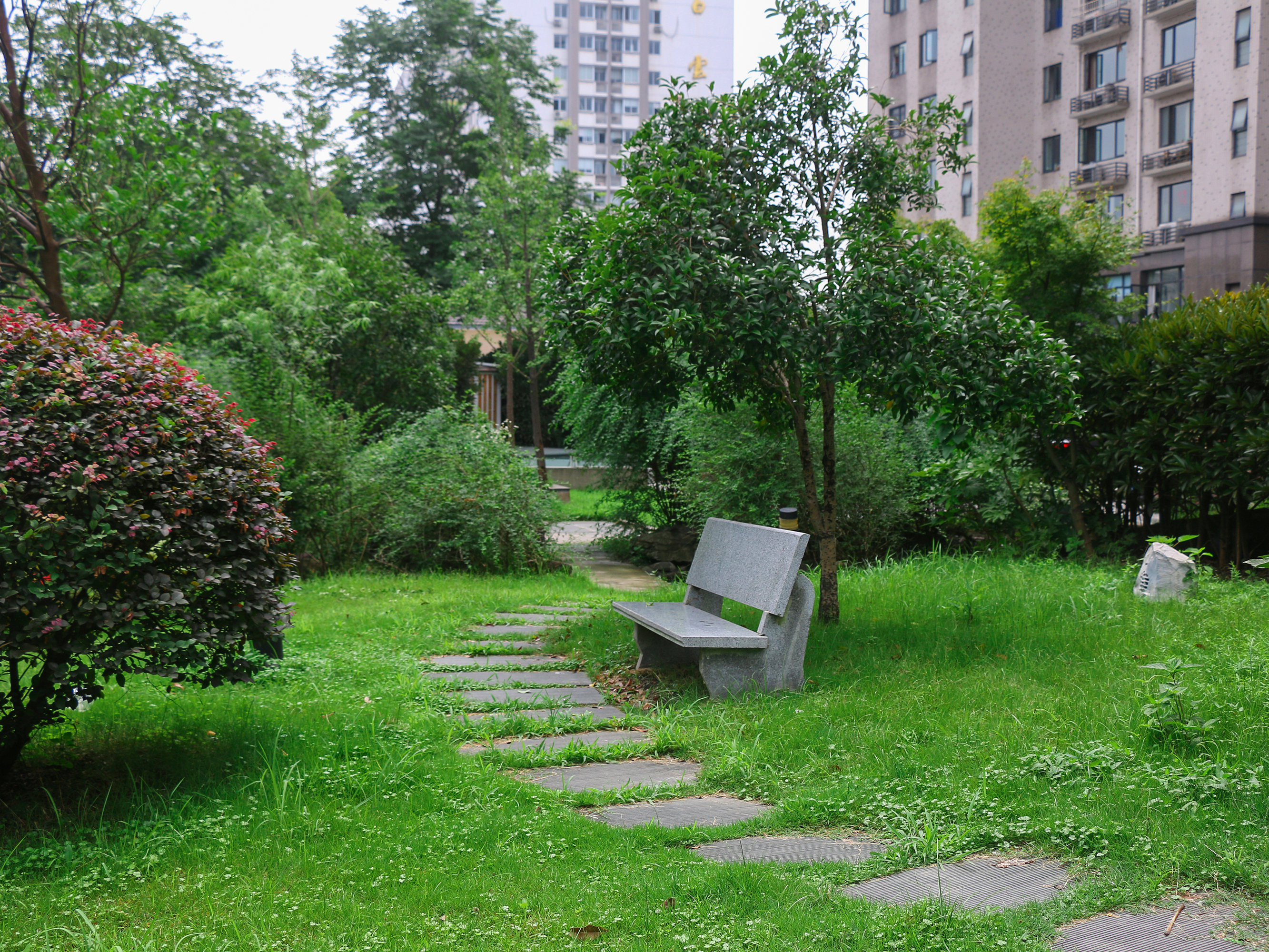 天成嘉苑小区实景 22