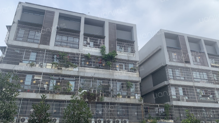 濛阳镇兴农路236号外景图