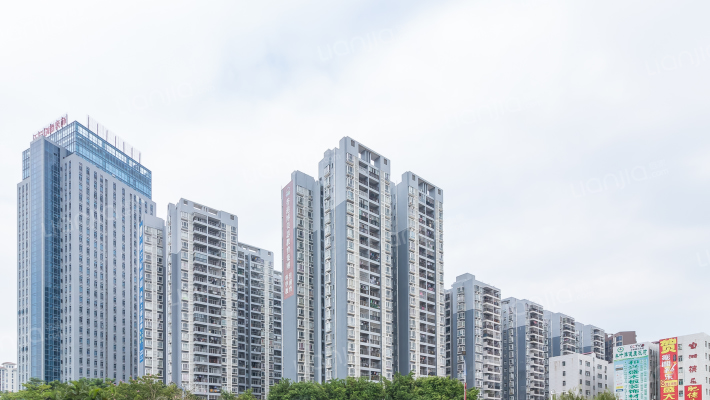 花千树六期外景图