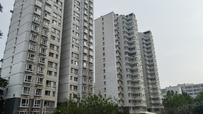 丽都花园外景图