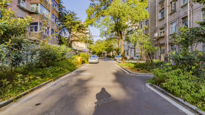 新庄东村外景图