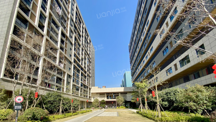 红星大都汇外景图