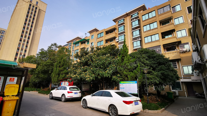 义蓬中路外景图