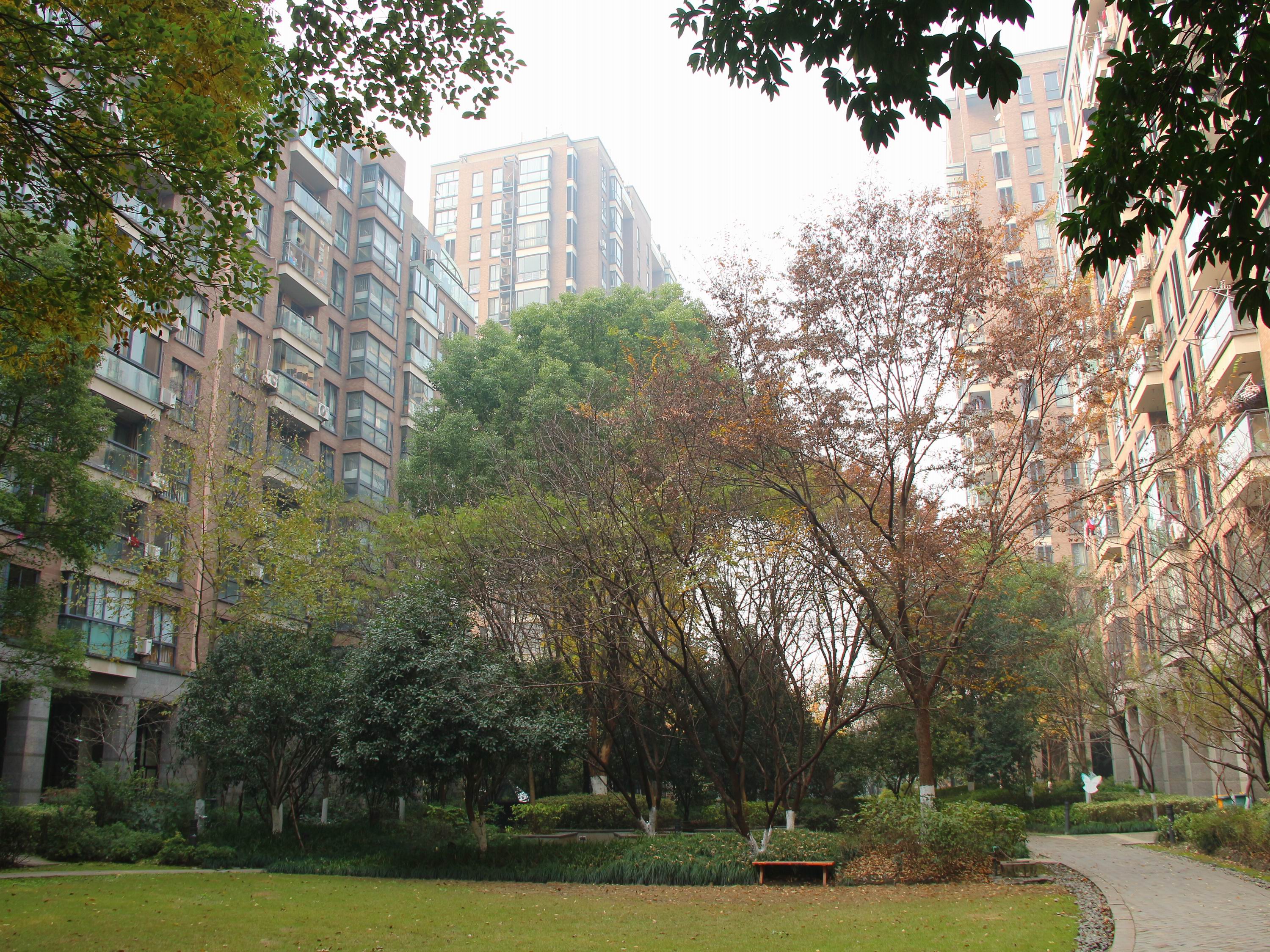 New Century City compound photo 17