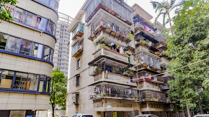 黎明茉莉园外景图