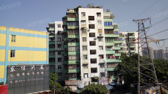 桥中花园外景图