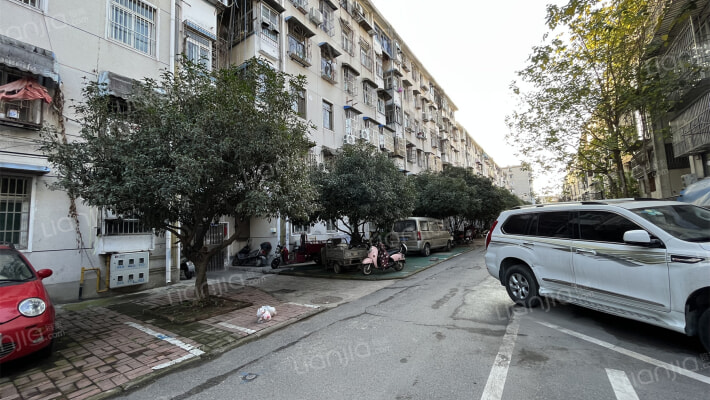 园林局宿舍外景图