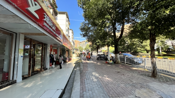 大营路79号院外景图