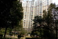 统建同安家园户型图实景图