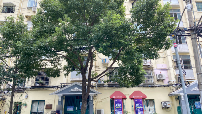 东诸安浜路65号外景图