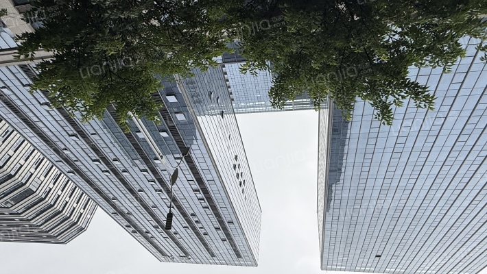 金港锐名公馆外景图