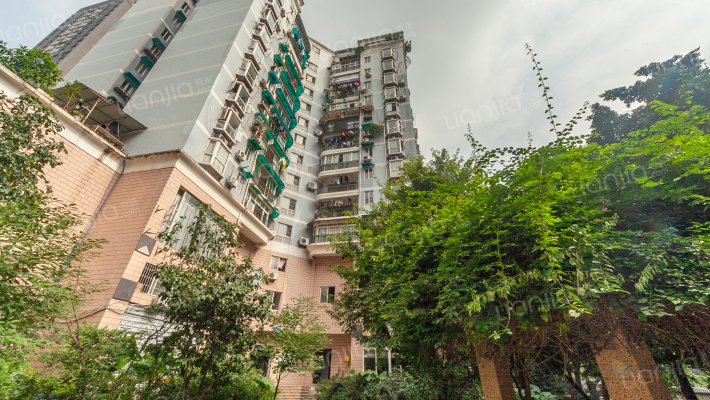 江龙大厦外景图