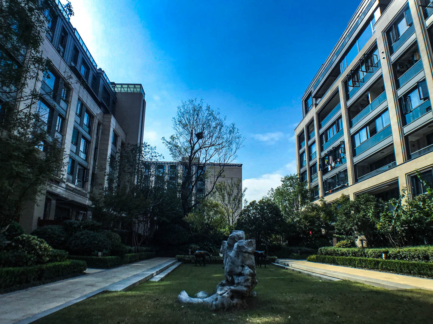 杭州公馆小区实景 13