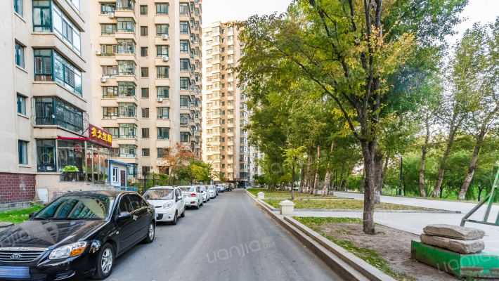 泰山领秀外景图