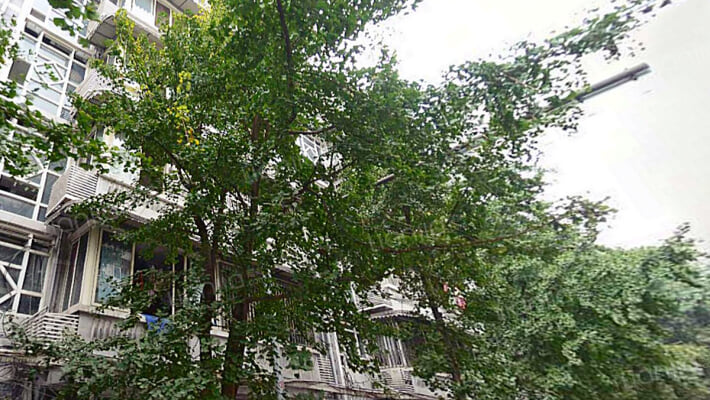 支矶石街25号外景图