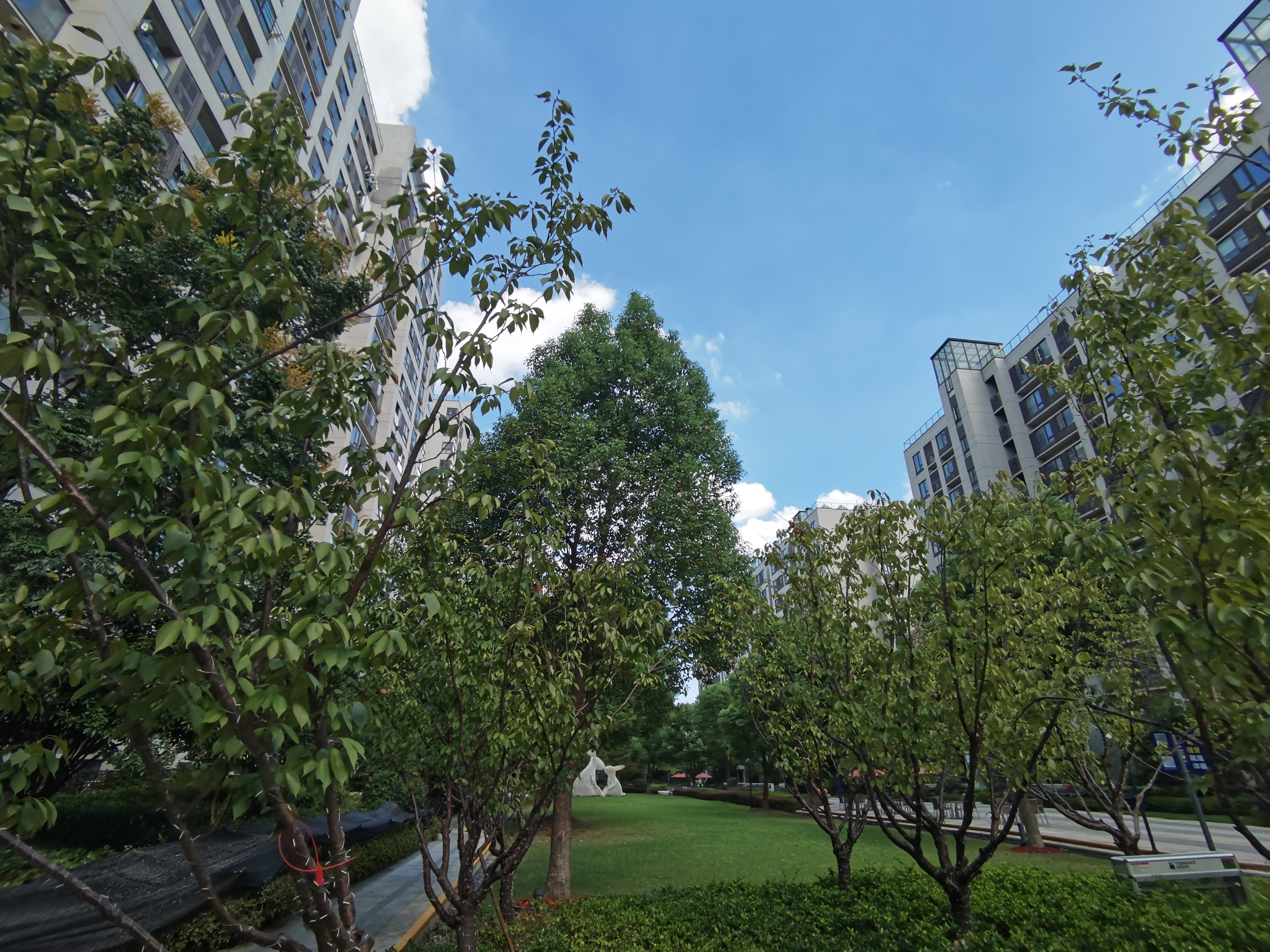 万科杭宸小区实景 4