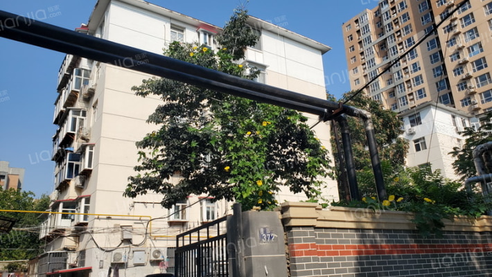 二药南楼外景图