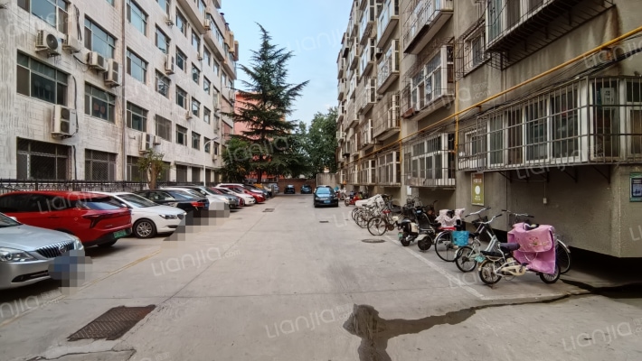 省化肥公司宿舍外景图