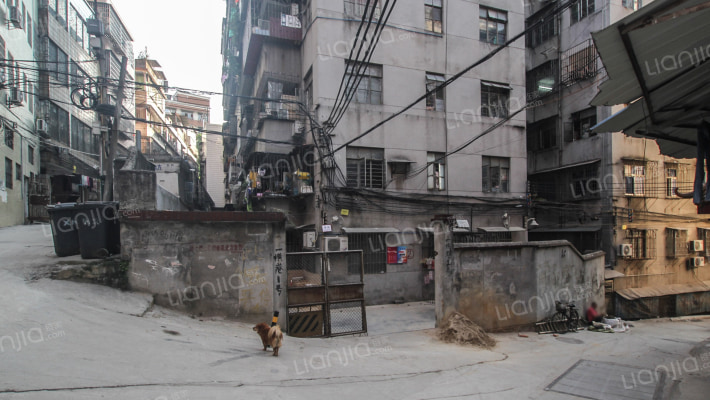 银河小学教工宿舍外景图