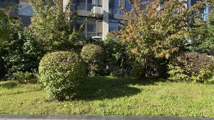 保利上林湾一期外景图