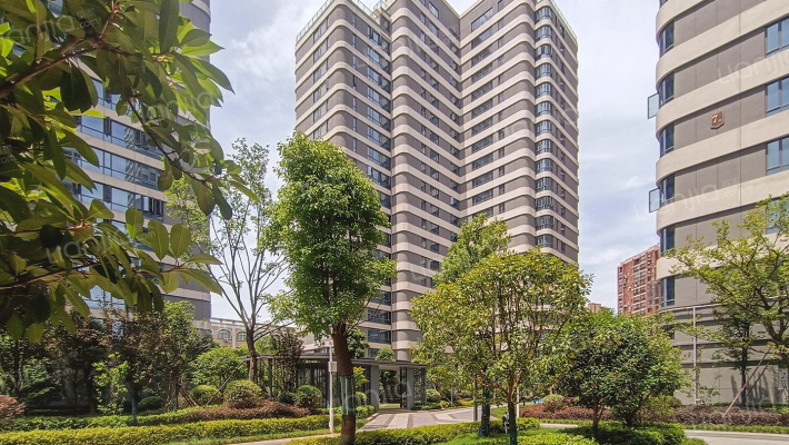 华生金银湖中心外景图