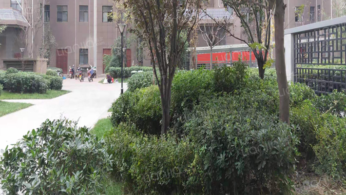 黎明风和庭院外景图