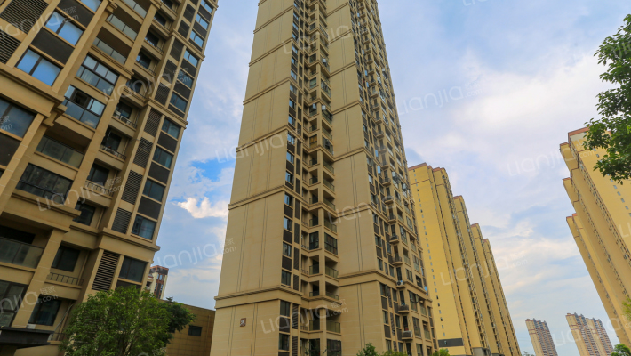 青花九龙外景图