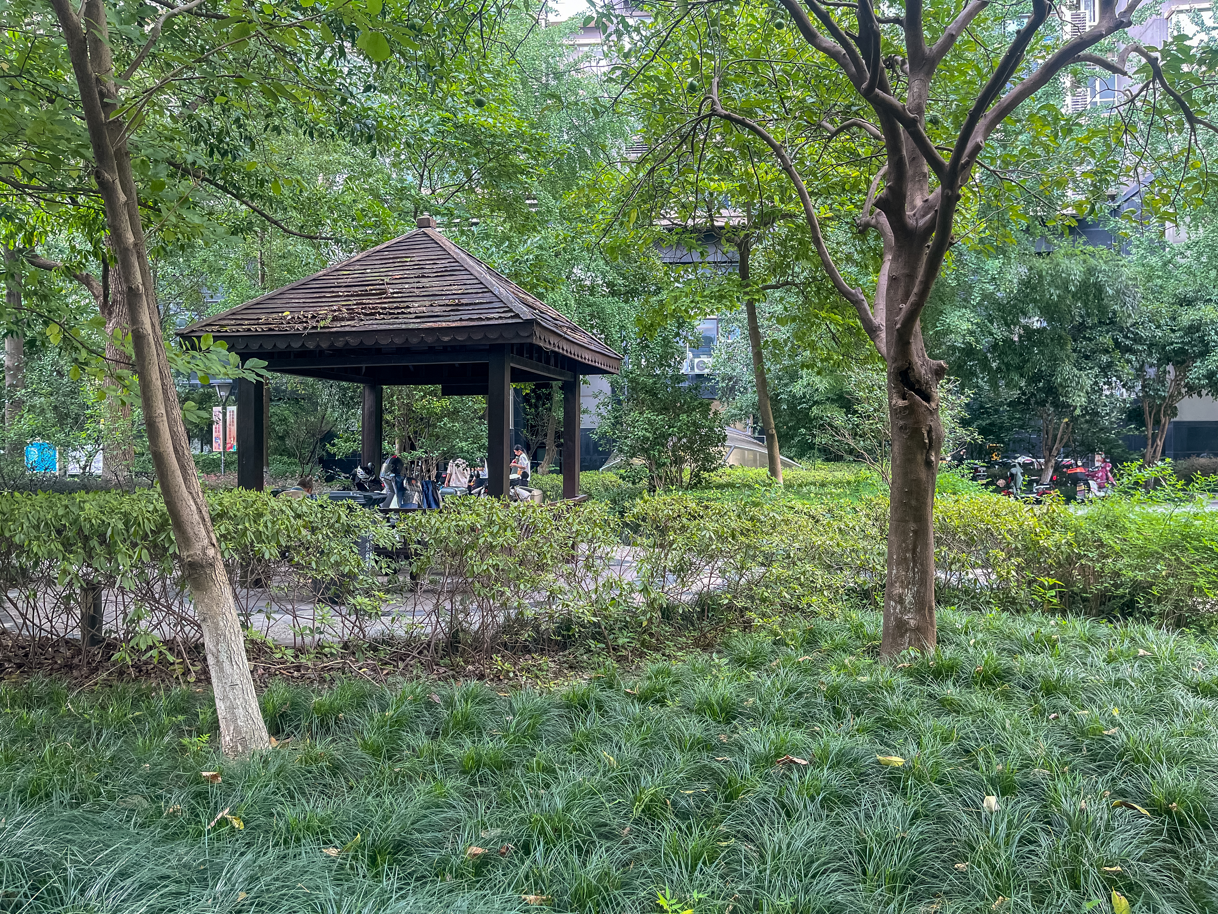 现代名苑小区实景 17
