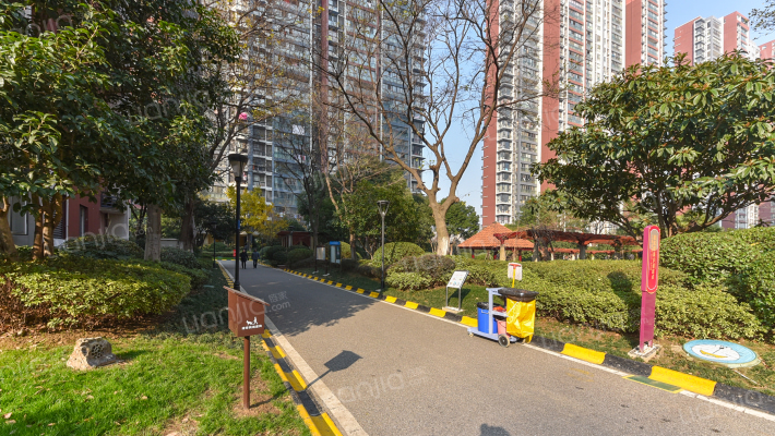 金科观天下外景图