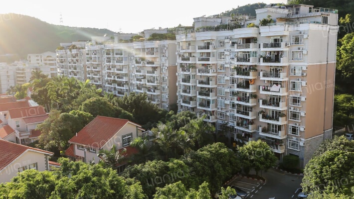 御庭轩罗湖外景图