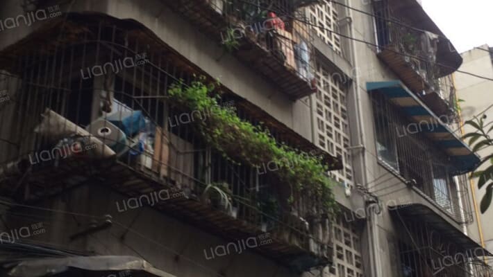 抚琴西路240号外景图