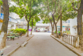 东泰花园富华苑户型图实景图