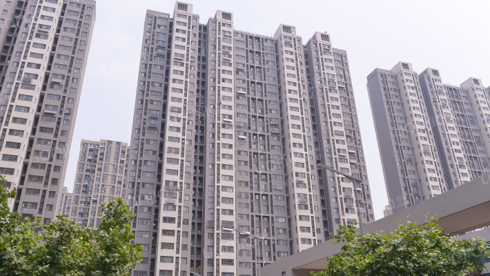 大金新苑外景图