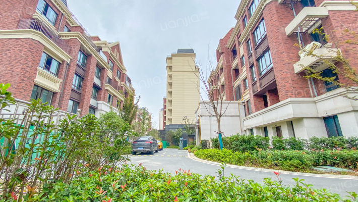 文一豪门金地外景图