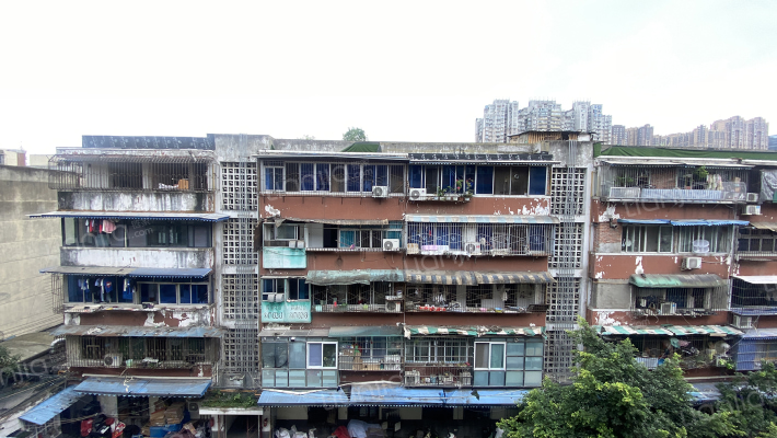 棕苑巷3号院外景图