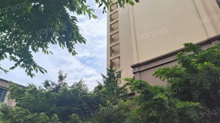 公园峰景外景图