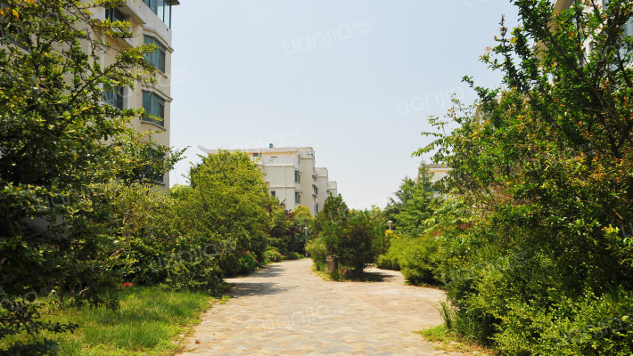 风和日丽外景图