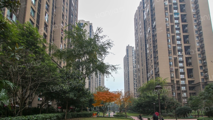 协信城立方一期外景图