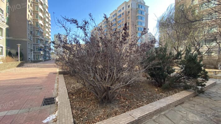 世纪龙苑外景图