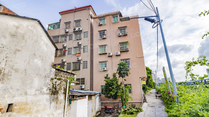 花蕾路招村外景图