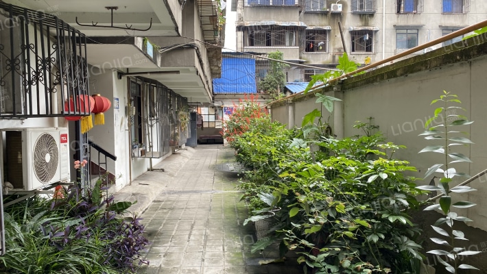 顺城街49号外景图