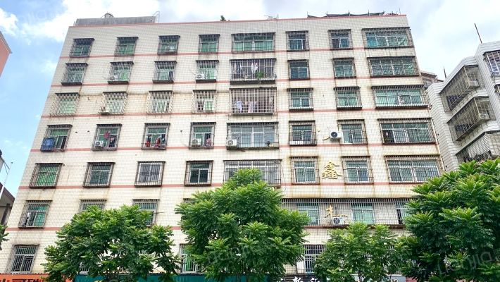 鸿鑫楼外景图