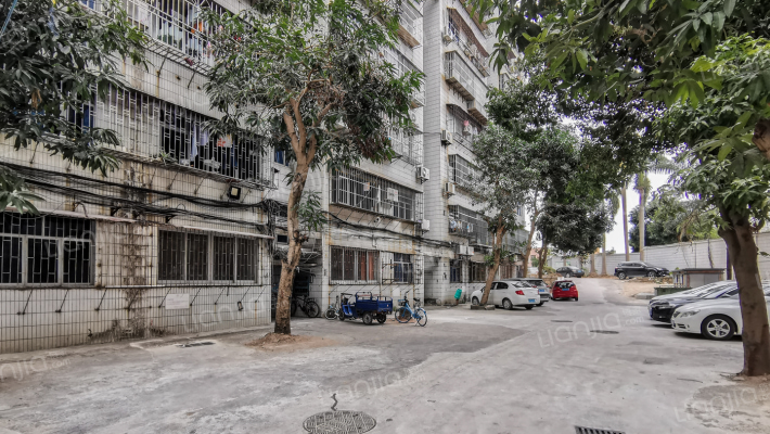 炮台山小区外景图