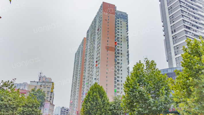 团结名居桔园外景图